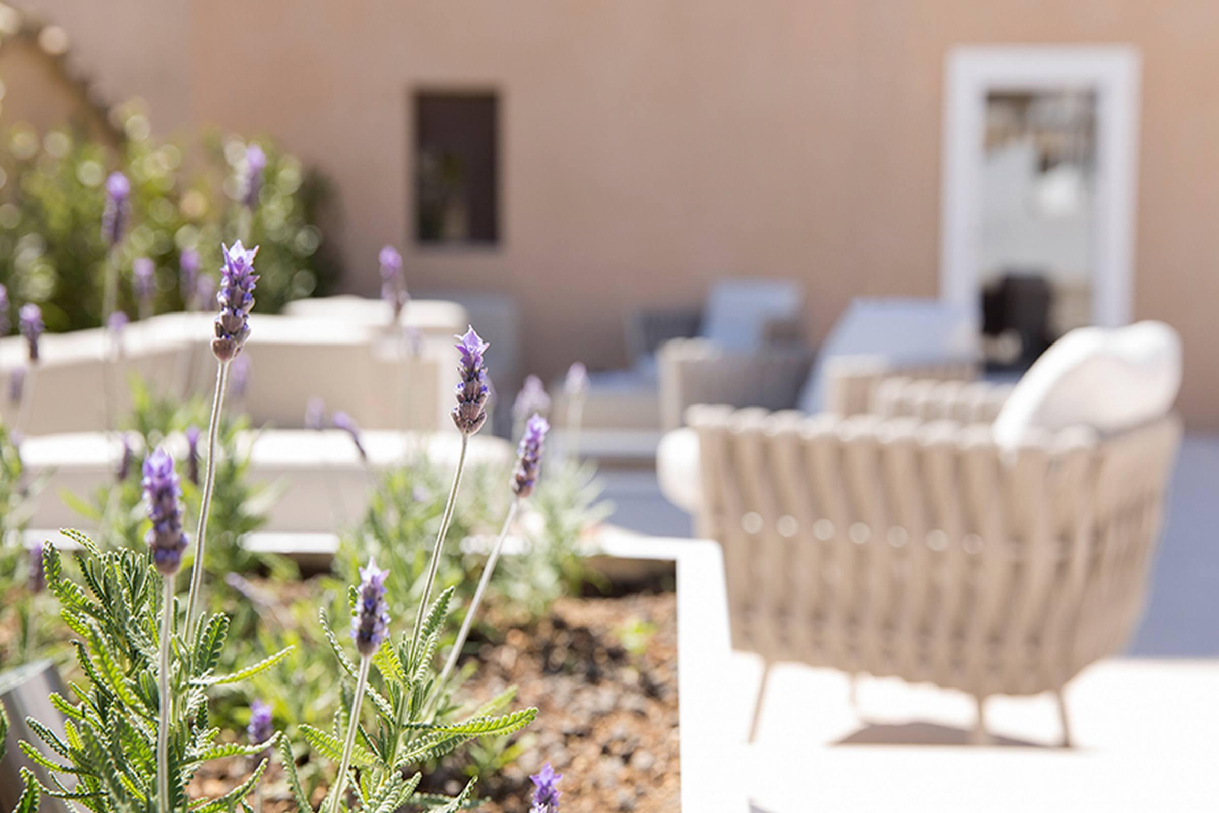 Hotel Convent De La Missio - Grand Luxury Boutique Hotel, Adults Only Palma di Maiorca